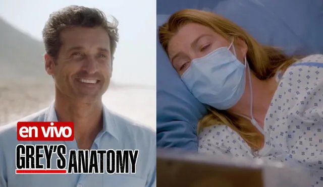 Derek y Meredith se reencontraron luego de 5 años en Grey's Anatomy. Foto: ABC