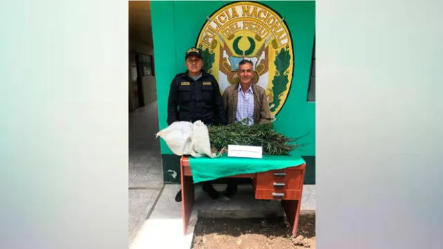 Intervienen a sujeto dedicado al cultivo de marihuana en Cajamarca
