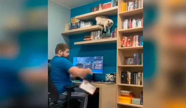 Desliza las imágenes para descubrir la travesura que cometió un gato al ver a su dueño jugando en su computadora. Foto: captura de TikTok