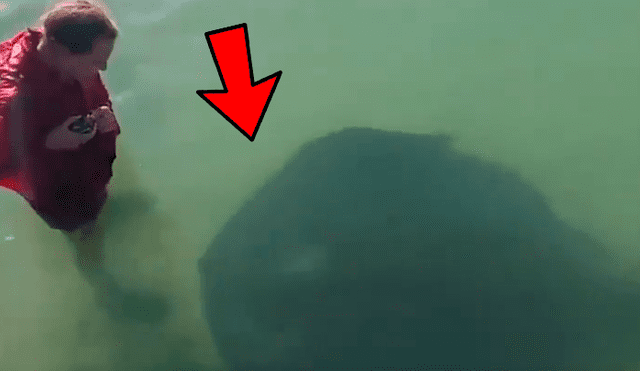 YouTube viral: chico ingresa a playa y se topa con gigantesca criatura marina [VIDEO] 