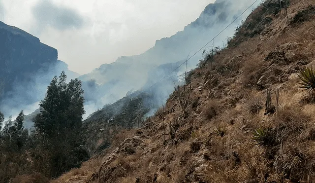 Reportan nuevo incendio forestal en Áncash.