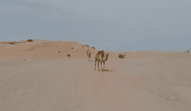 Desliza para ver las imágenes captadas por Google Maps cuando un joven realizaba un recorrido por el desierto.