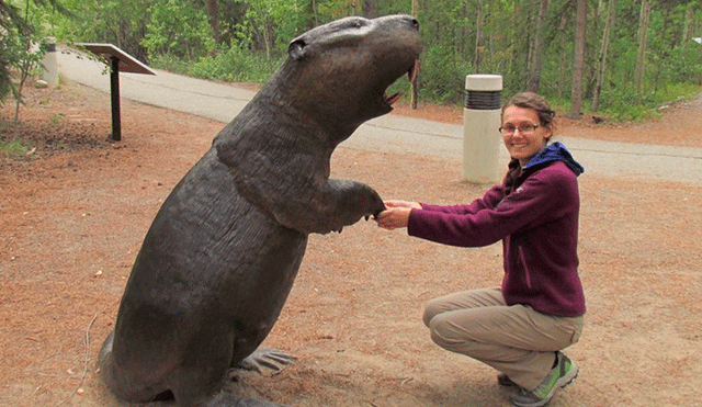 Científicos descubren por qué se extinguieron los castores gigantes