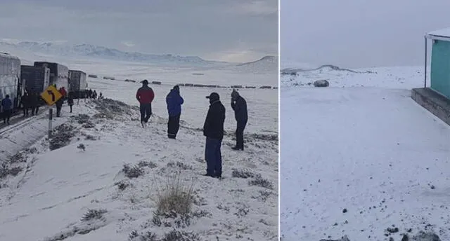 Arequipa: Intensa nevada causó estragos en zonas altas de Castilla