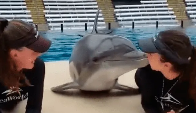 Facebook viral: delfín sorprendió a sus cuidadoras con varios besos en las mejillas [VIDEO] 