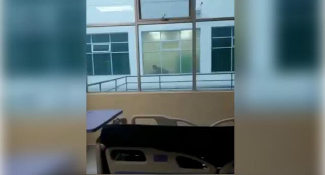 Facebook Viral: Polémica por escena sexual al interior de un hospital