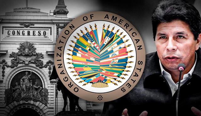 Consejo Permanente de la OEA sesiona este jueves. (Foto: composición de Jazmín Ceras / La República)