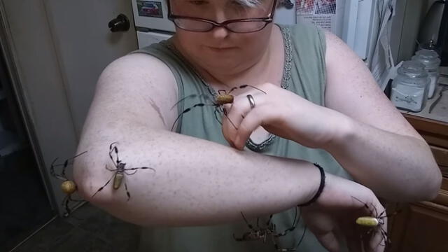 Vía Facebook: pareja descubre 'espeluznantes' arañas en su garage y video aterra
