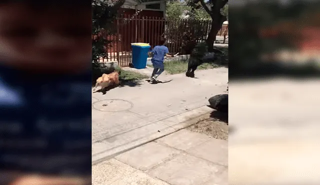 Facebook viral: niños sorprenden al pedirle a hombre permiso para que su perro pueda salir a jugar  [VIDEO]
