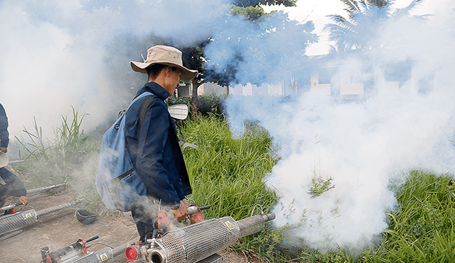 Prevención. Fumigación en las zonas vulnerables evitará el desarrollo del zancudo Aedes aegypti, transmisor de la enfermedad del dengue.
