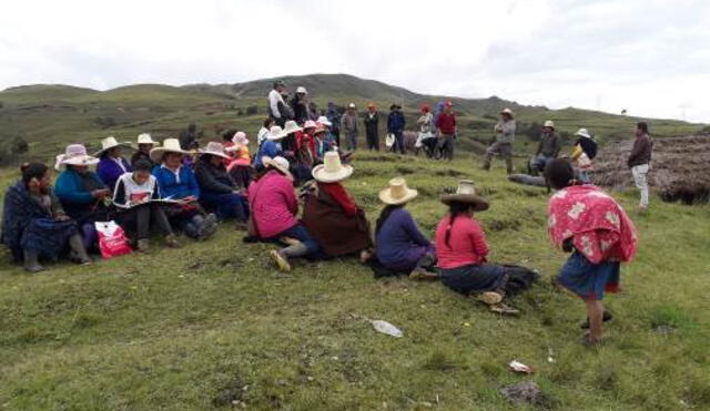 Comunidades rurales de Junín reciben insumos para prevenir heladas [FOTOS]