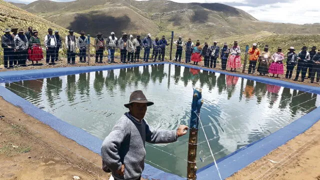 Culta. Cosecha de agua les permite a agricultores de Puno desarrollar agricultura y ganadería.