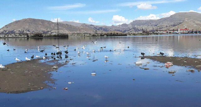 Recién en setiembre se firmará contrato para ejecutar proyecto de descontaminación del Lago Titicaca