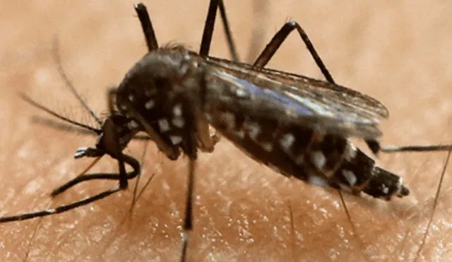 Capacitan a docentes para combatir el dengue y zika 