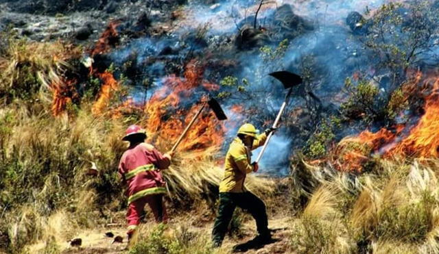 Cusco: impresionantes imágenes del incendio forestal cerca a Sacsayhuaman