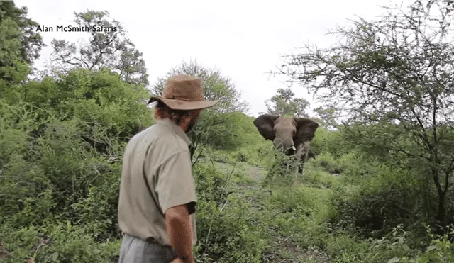 YouTube viral: detiene embestida de elefante haciendo algo inesperado [VIDEO]