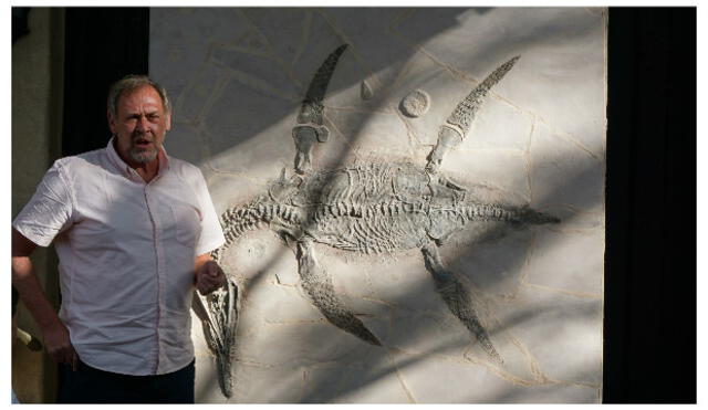 Ya no se venderá en Francia esqueleto de dinoasaurio hallado en Marruecos