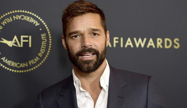 Ricky Martin, nuevo artista confirmado para Viña del Mar 2020