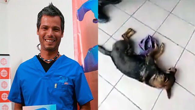 Pancho Cavero: "los veterinarios trabajan porque tienen hijos y necesitan alimentarse"