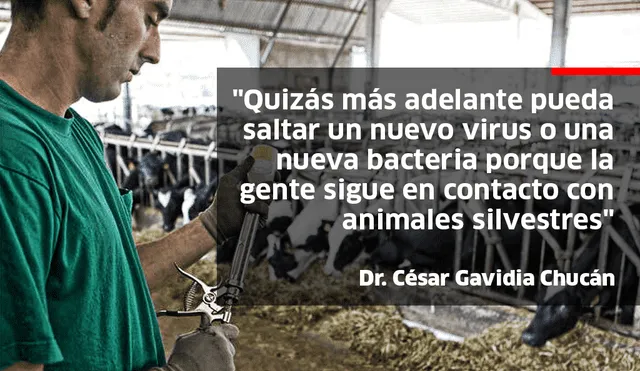 Los veterinarios, nuestra primera línea de defensa ante brotes infecciosos como el coronavirus. Foto: EFE/Composición.