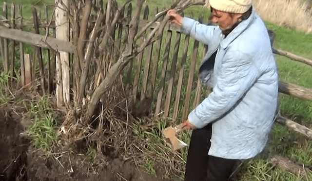 Rusia: hizo espeluznante descubrimiento en su jardín y esposa revela su crimen [FOTOS]