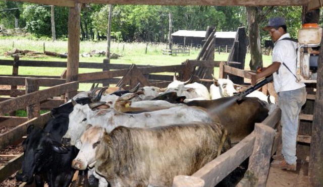 Perú suspende importación de productos ganaderos de Colombia