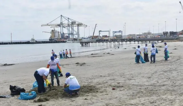 Paita: voluntarios limpian playa El Toril 