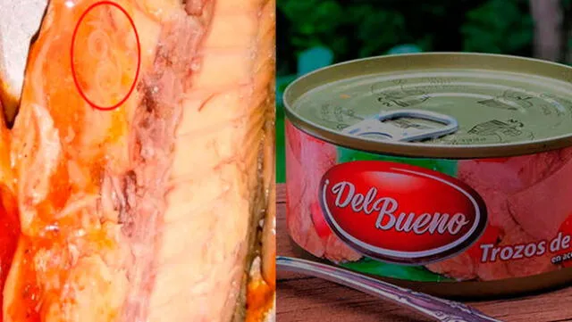 Empresa peruana que distribuía conservas de pescado con parásitos se pronunció