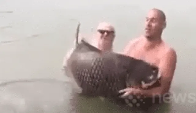 Desliza hacia la izquierda para ver el momento en que los turistas son atacados por el gigantesco pez, escena que es viral en Facebook.