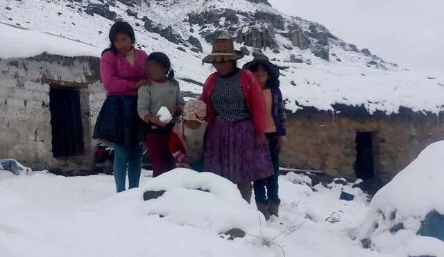 Nevadas azotan la región de Cusco y afectan a cientos de ganaderos