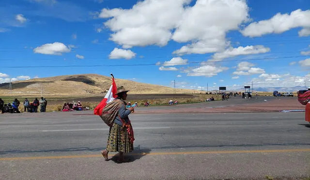 nación aimara. Sobre esta línea se pretende impulsar un sur andino federalizado. Esa "nueva nación" alcanzaría parte de Bolivia y norte de Chile.