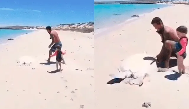 Vía Facebook: hombres salvan de morir enterrada a tortuga gigante en playa [VIDEO]