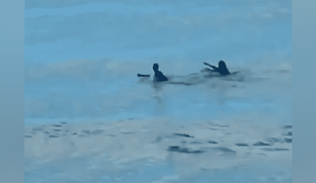 Un video viral de Facebook mostró la traumática experiencia que vivieron dos bañistas al ser perseguidos por un feroz tiburón, mientras disfrutaban de una paradisíaca playa.
