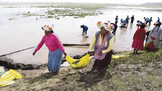 Puno: Se preparan para evitar más desbordes de río Coata 