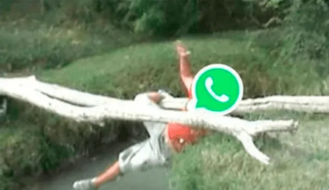 Usuarios de WhatsApp manifestaron su molestia por la caída de la aplicación y no tardaron en difundir divertidos memes en Facebook y otras redes