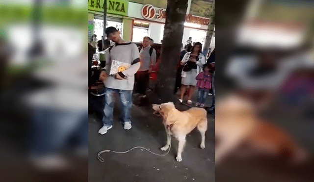 En Facebook, un joven ambulante realizó un espectáculo en la calle junto a su perro que impactó con su acto.