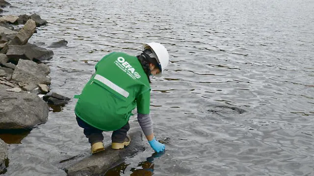 OEFA recibió 68 denuncias por presunta contaminación ambiental en Arequipa