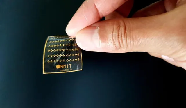 La piel artificial está hecha de caucho de silicona como algunos lentes de contacto| Foto: RMIT