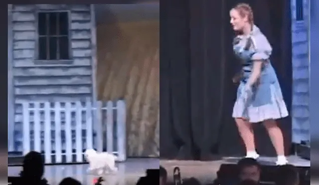 Video es viral en Facebook. El can estaba interpretando a “Toto”, la mascota de Dorothy, durante un montaje de la obra ‘El mago de Oz’