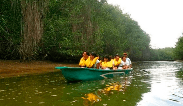 Los Manglares de Tumbes formarán parte de investigación científica