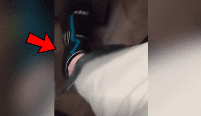 YouTube viral: Estaba manejando y descubre extraña criatura en su pierna [VIDEO] 