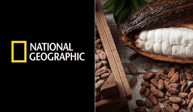 Desde Piura, la elaboración de chocolate con cacao de corazón blanco es considerado el mejor a nivel mundial.