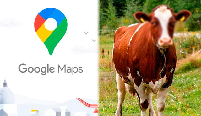 Es uno de los misterios más populares sobre la app de Google. Foto: Composición LR / Google Maps