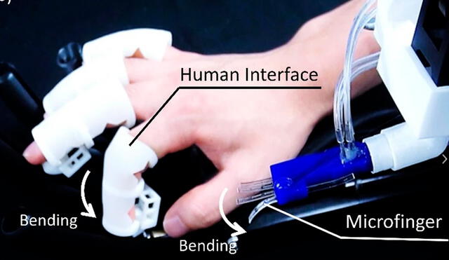 Los dedos tienen sensores de fuerza y actuación. Foto: Universidad de Ritsumeikan