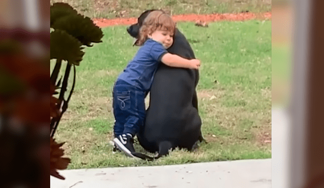 En Facebook, un pequeño se acercó a su mascota para darle un emotivo abrazo y fue descubierto por su madre.