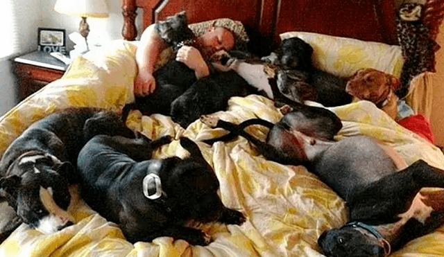 Desliza las imágenes para apreciar la enorme cama que fabricó la pareja para descansar con sus adoradas mascotas.