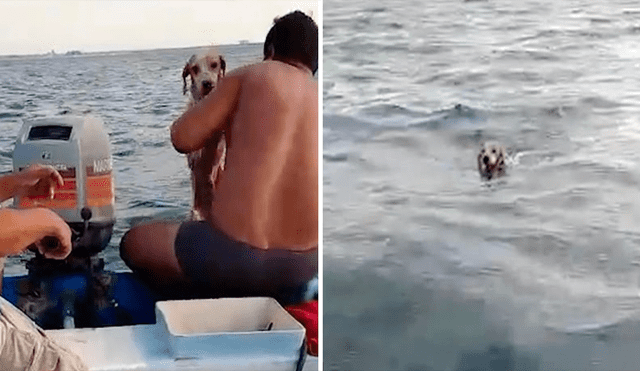 Video es viral en YouTube. El perro había ingerido mucha agua salda y estaba muy agotado, pero afortunadamente fue encontrado por estos pescadores que rápidamente lo rescataron. Foto: Captura.