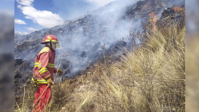 Incendios forestales arrasan más de 50 hectáreas de pastos naturales en Cusco