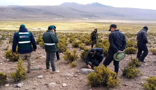 Autoridades recorrieron zonas cercanas a la frontera con Chile y Bolivia. Foto: Cortesía Fiscalía