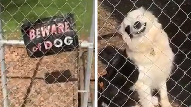 Viral en Facebook: vio un letrero de "cuidado con el perro" y lo que encontró le hizo reír